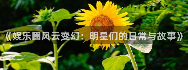 奇亿娱乐：《娱乐圈风云变幻：明星们的日常与故事》
