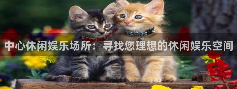 奇亿娱乐：中心休闲娱乐场所：寻找您理想的休闲娱乐空间